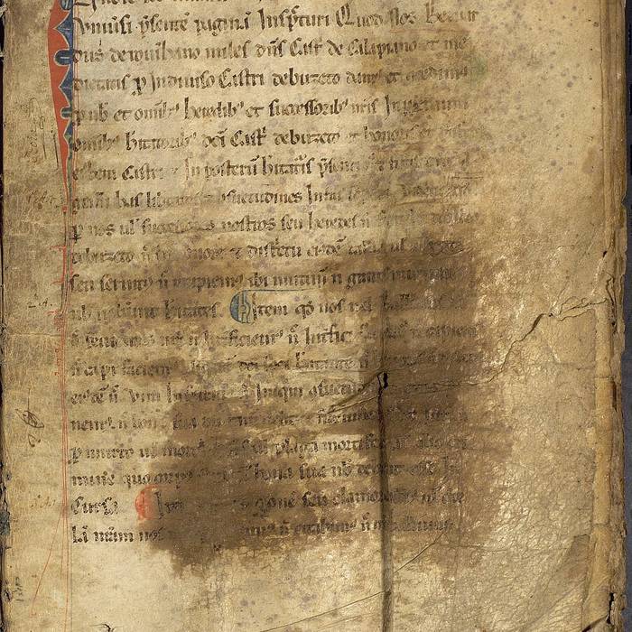 Photo de Château de Buzet-sur-Baïse